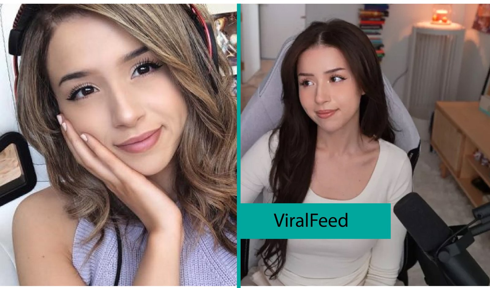 Pokimane Bude