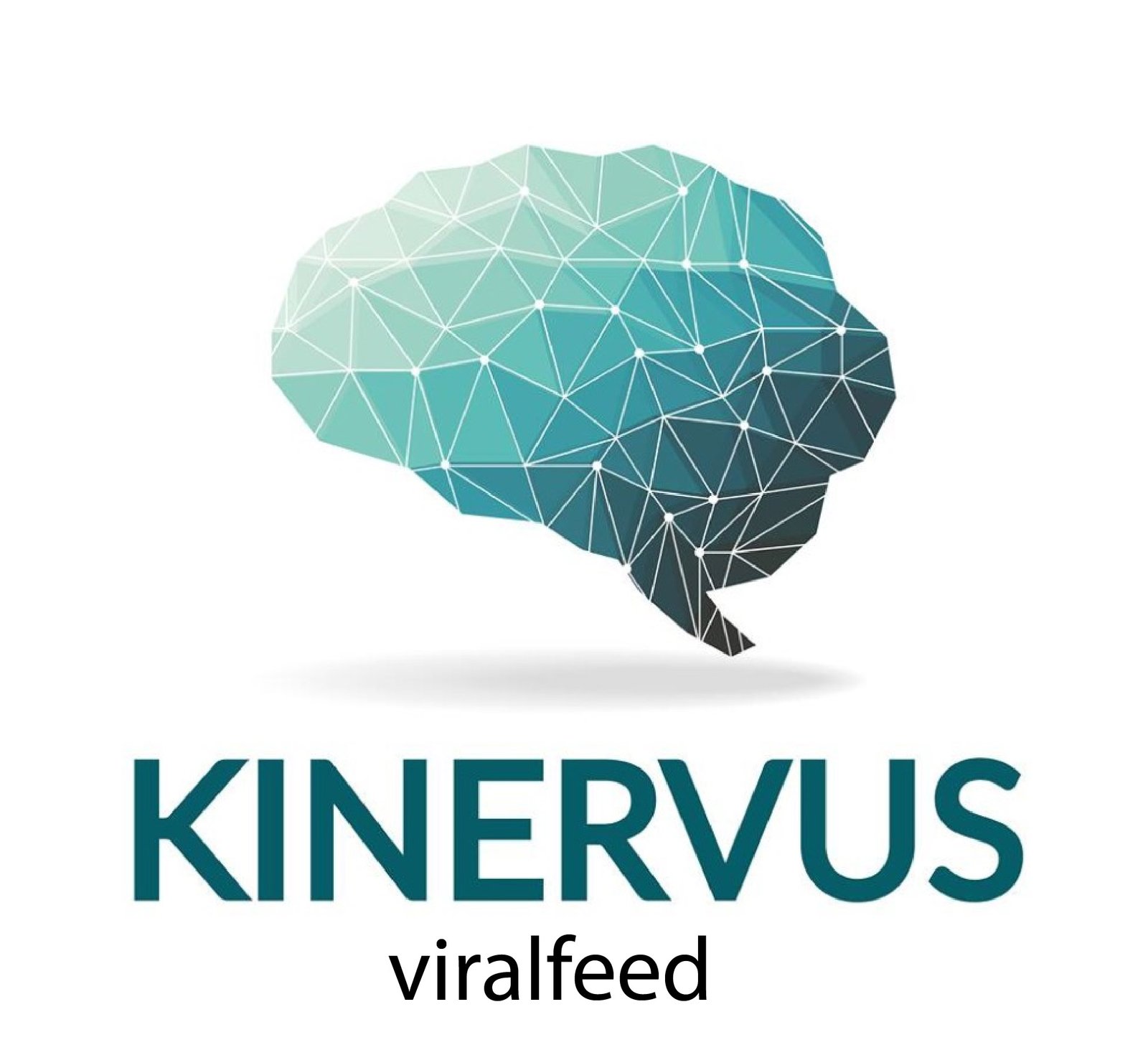 how-the-nervous-system-influences-movement