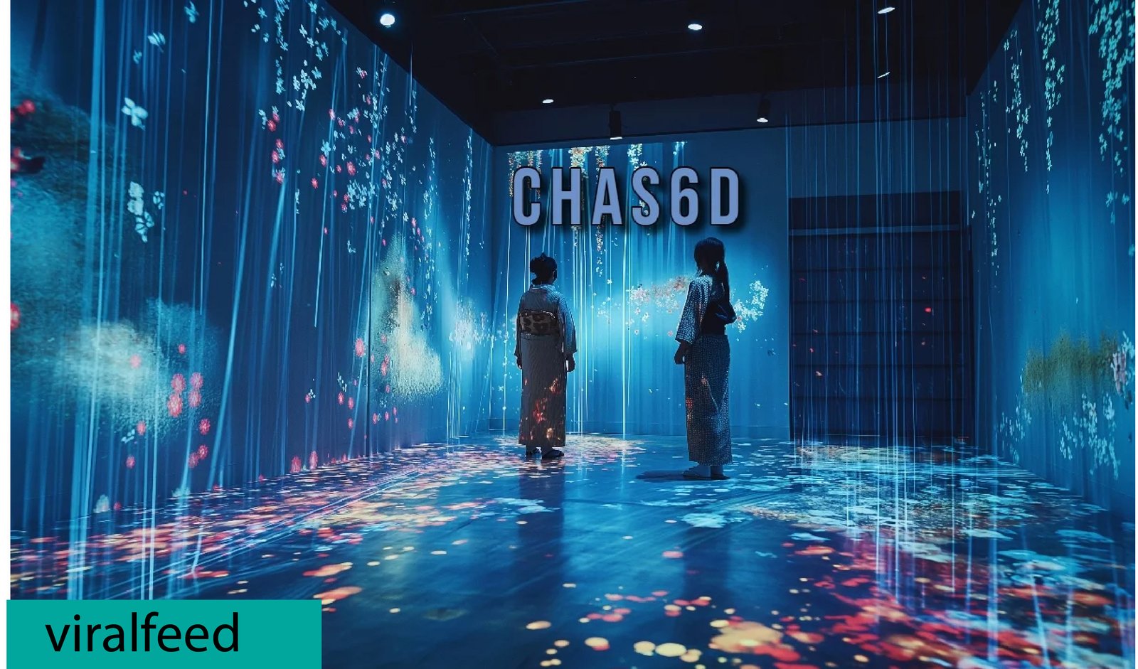 Chas6d