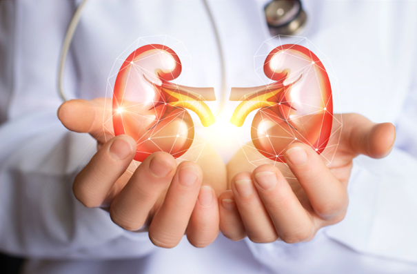 Pediatric Urologist Guide: Bedwetting, Undescended Testes & Urinary Disorders in Children